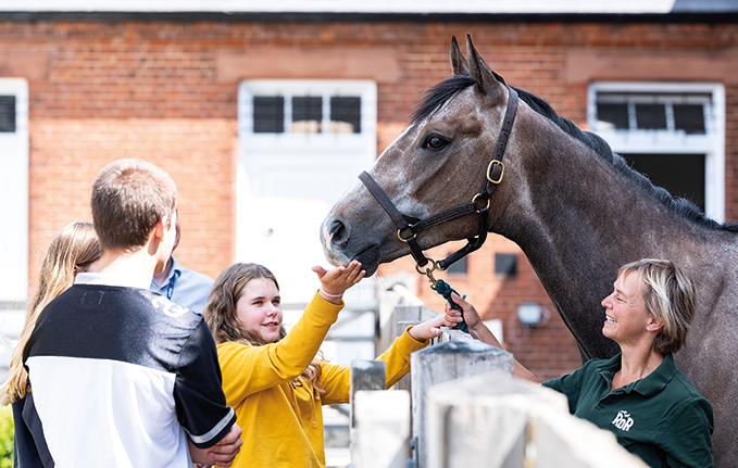 Explore the Rothschild Yard, home of the Retraining of Racehorses charity