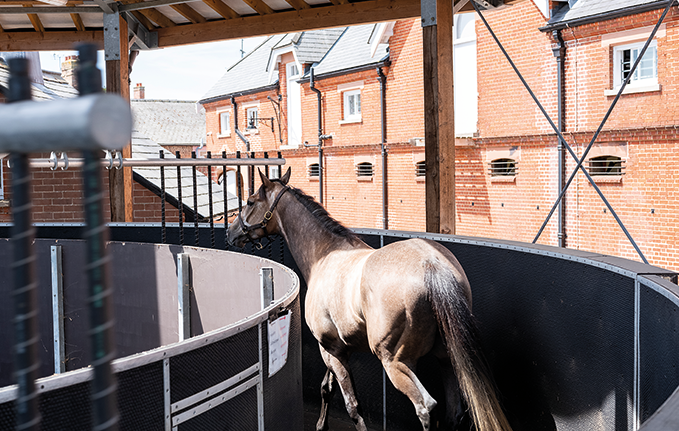 Horse walker at Rothschild Yard at the National Horseracing Museum