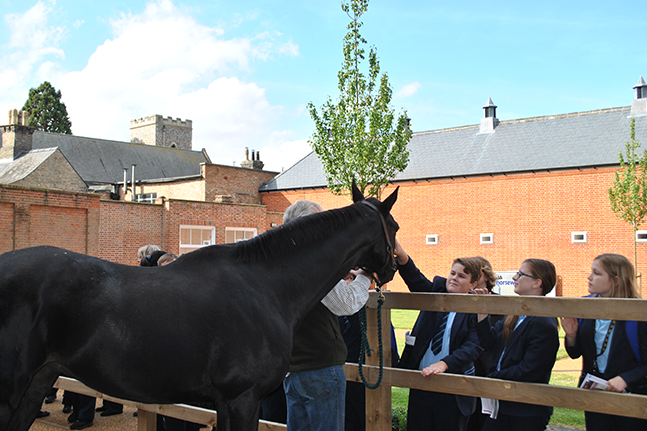 School children meeting retired racehorses at the National Horseracing Museum, in the Rothschild Yard