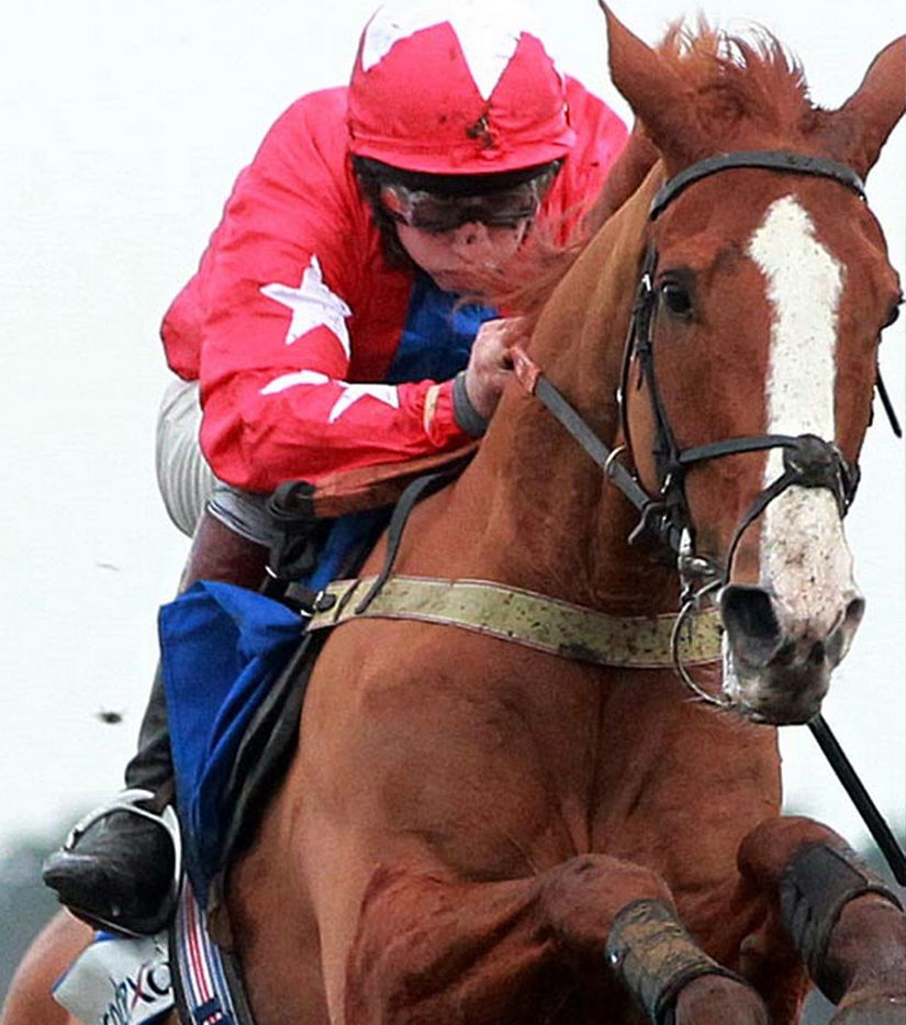 sire-de-grugy nhrm 3