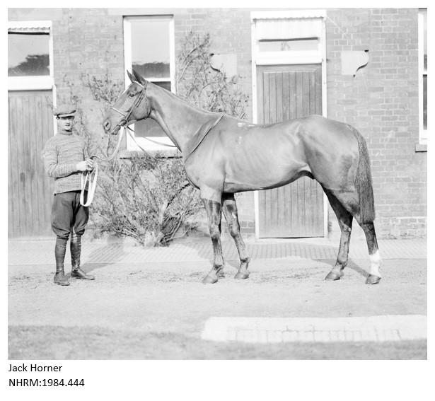 Jack Horse racehorse