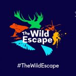 Wild Escape Art Fund 2023 Header