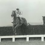 Bregawn at the Cheltenham Gold Cup