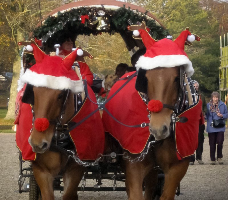 Christmas at the Museum