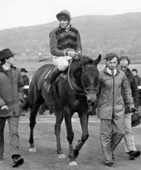 Half Free a Cheltenham Specialist National Horseracing Museum