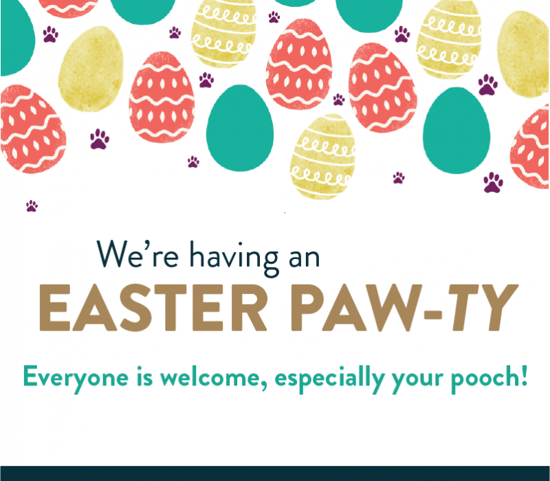 Easter Paw-ty 2026