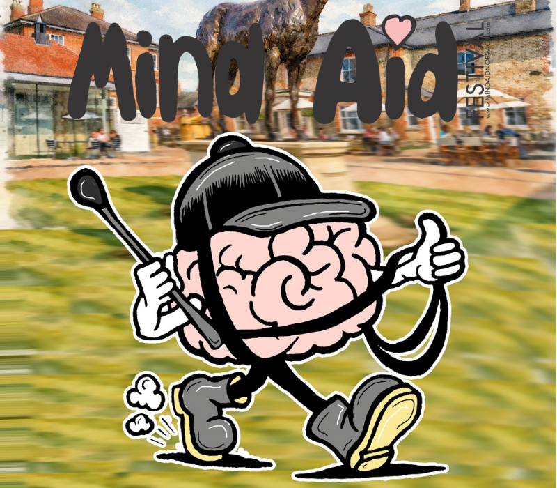 Mind Aid Festival